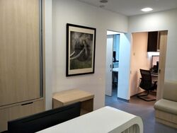 Gleneagles Hospital (D10), Retail #504272131